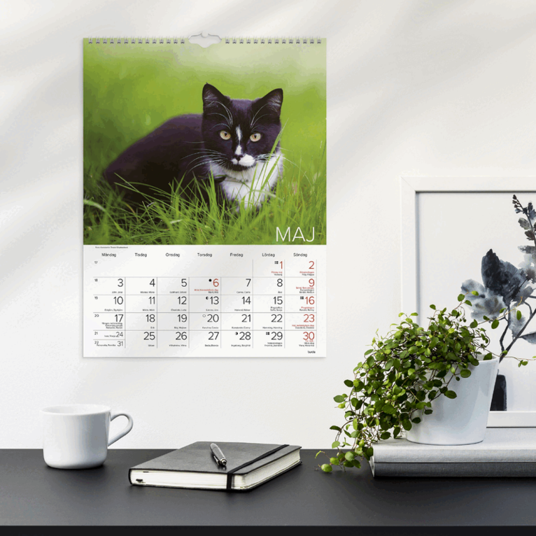 Väggkalender 2027 Stora Kattkalendern, Övrigt