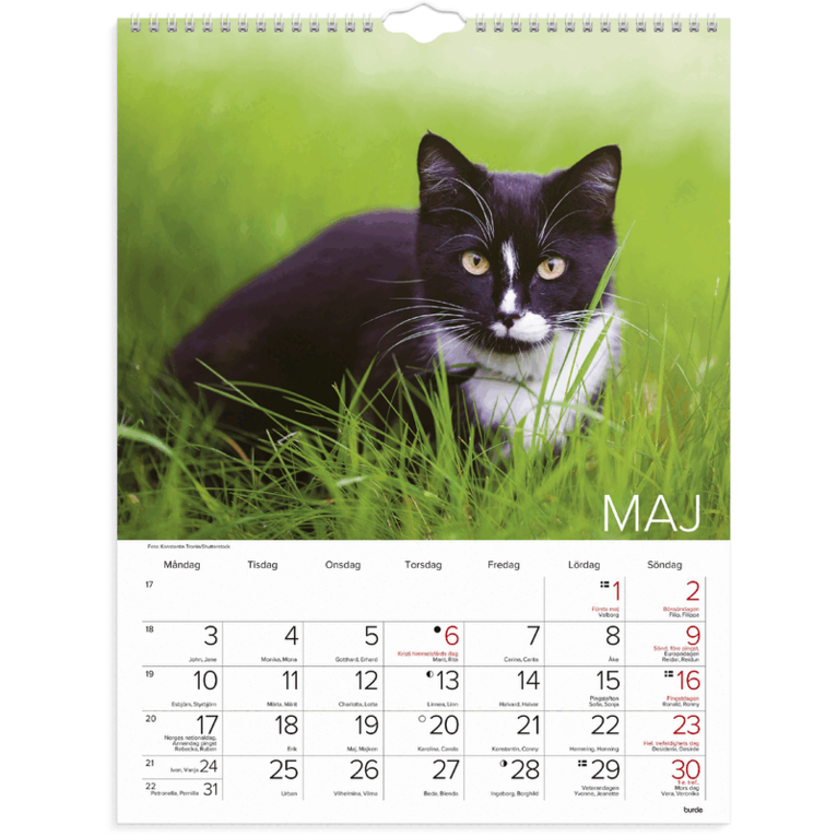 Väggkalender 2027 Stora Kattkalendern, Övrigt