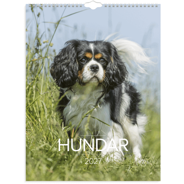 Väggkalender 2027 Stora Hundkalendern, Övrigt