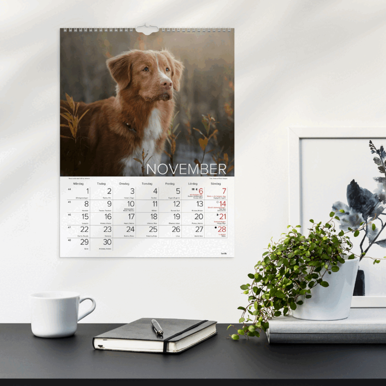 Väggkalender 2027 Stora Hundkalendern, Övrigt