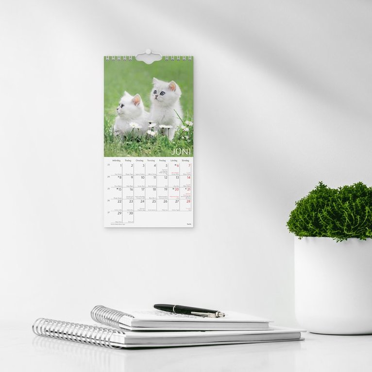 Väggkalender 2026 Liten Kattkalender, Övrigt