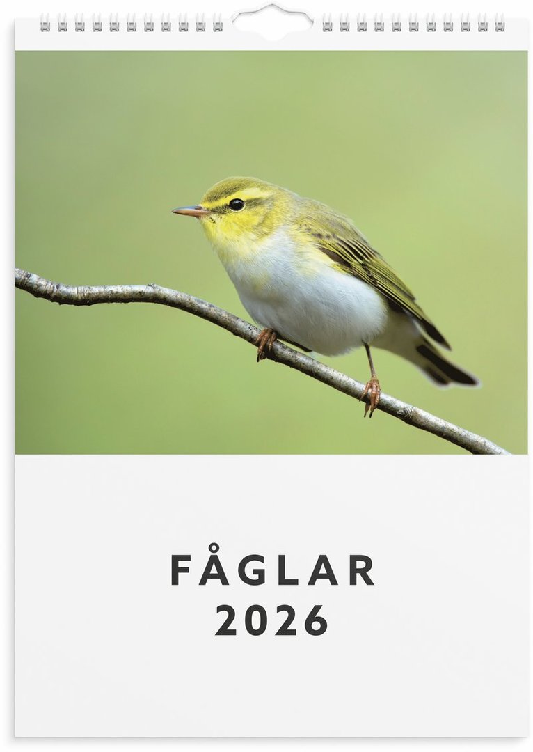 Väggkalender 2026 Fåglar, Övrigt