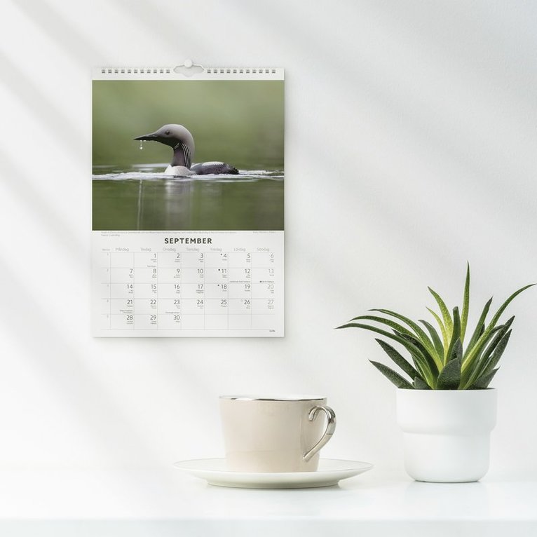 Väggkalender 2026 Fåglar, Övrigt