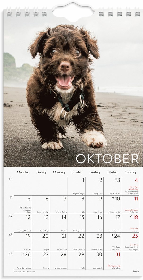 Väggkalender 2026 Liten Hundkalender, Övrigt