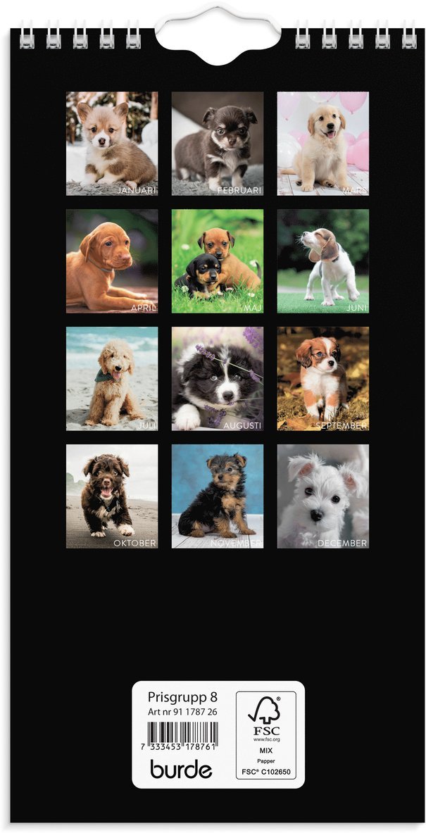 Väggkalender 2026 Liten Hundkalender, Övrigt