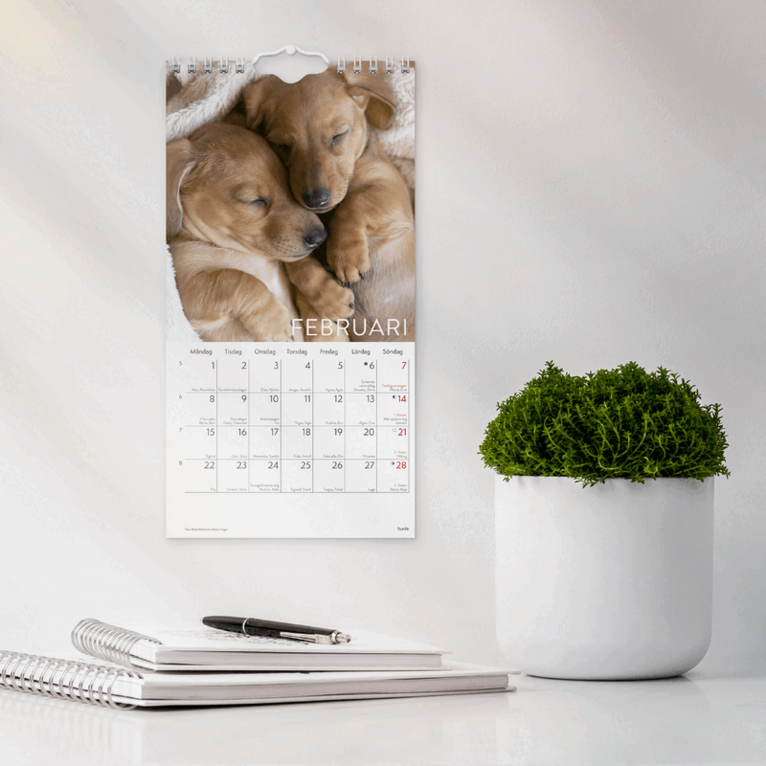 Väggkalender 2027 Liten Hundkalender, Övrigt