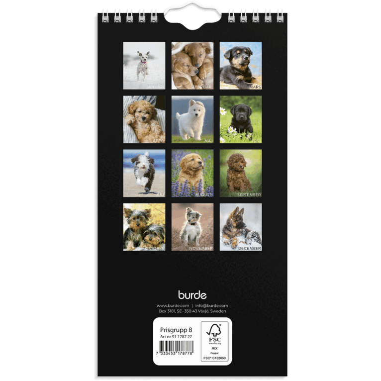 Väggkalender 2027 Liten Hundkalender, Övrigt