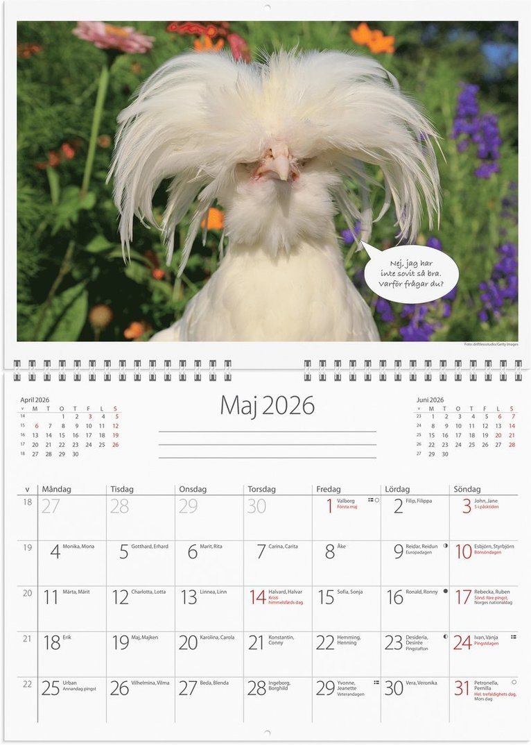 Väggkalender 2026 Djurkul, Övrigt