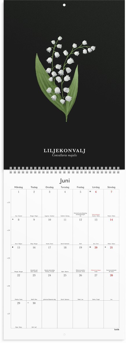 Väggkalender 2026 Illustrerad blomster, Övrigt