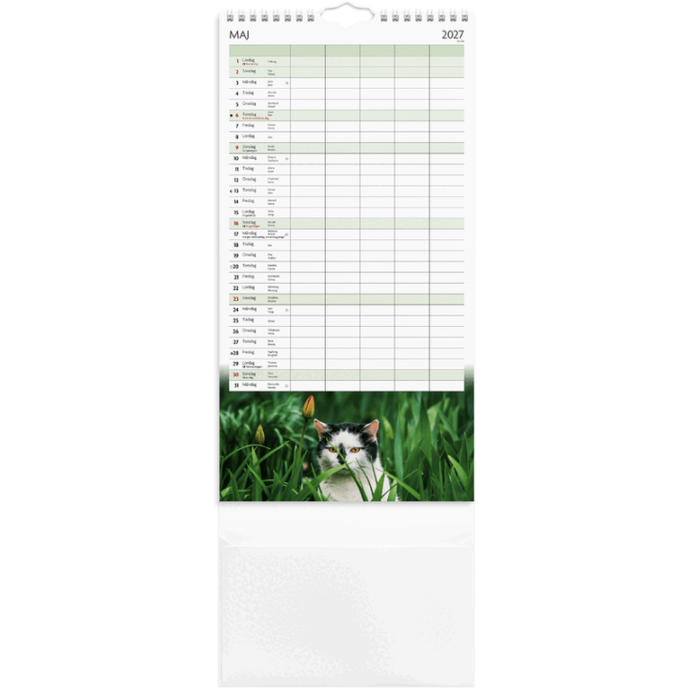 Familjekalender 2026-2027 Katter, Övrigt