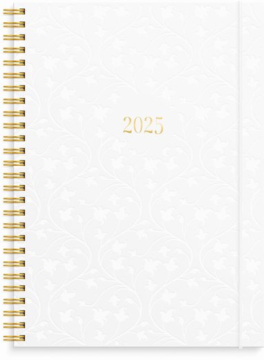 Kalender 2025 Senator A5 Star 1