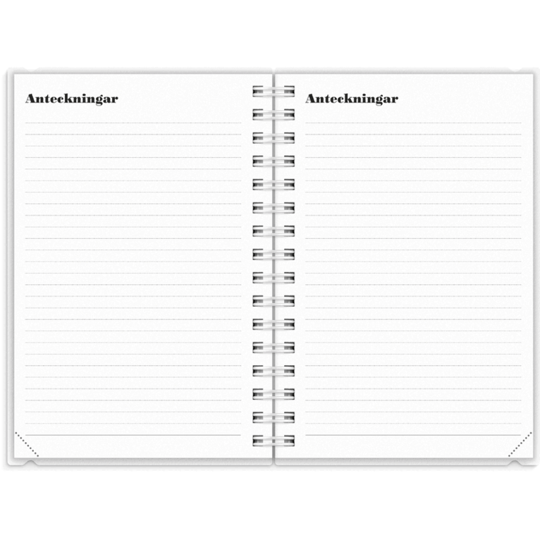Dagbok 4i1 2027, Övrigt
