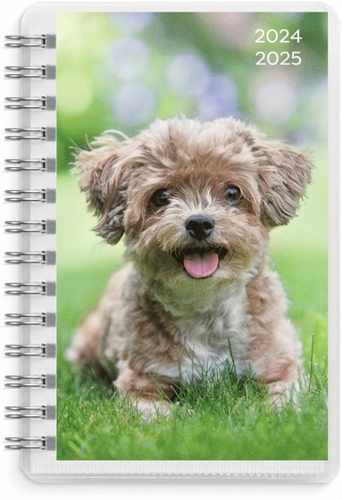 Kalender 2024-2025 Compact Pets