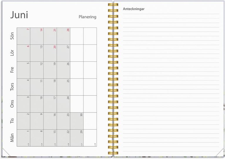 Kalender 2025-2026 Study A5 Story Äng, Övrigt