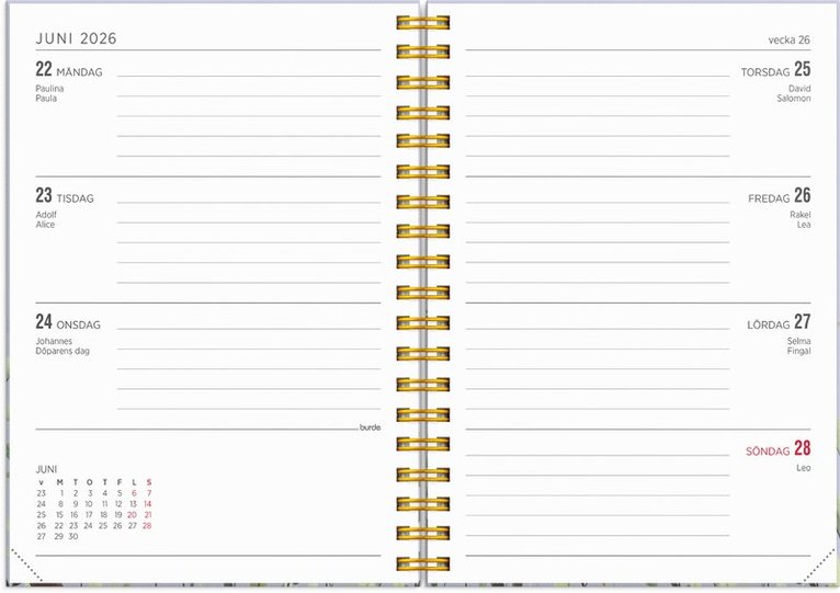 Kalender 2025-2026 Senator A6 Story Äng, Övrigt