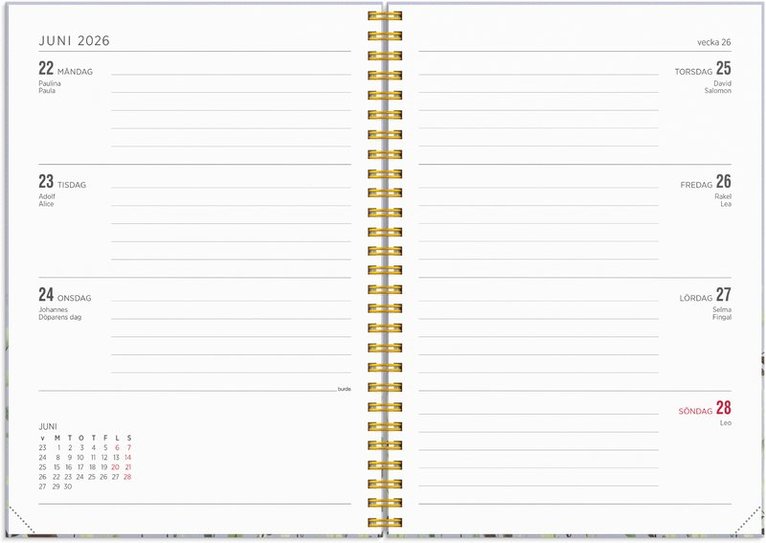 Kalender 2025-2026 Senator A5 Story Äng, Övrigt