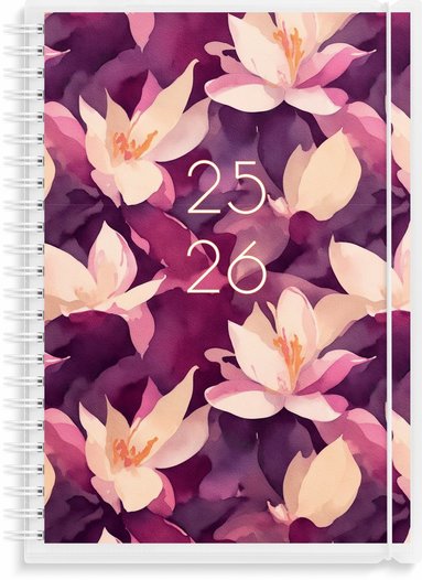Kalender 2025-2026 Senator A5 4i1