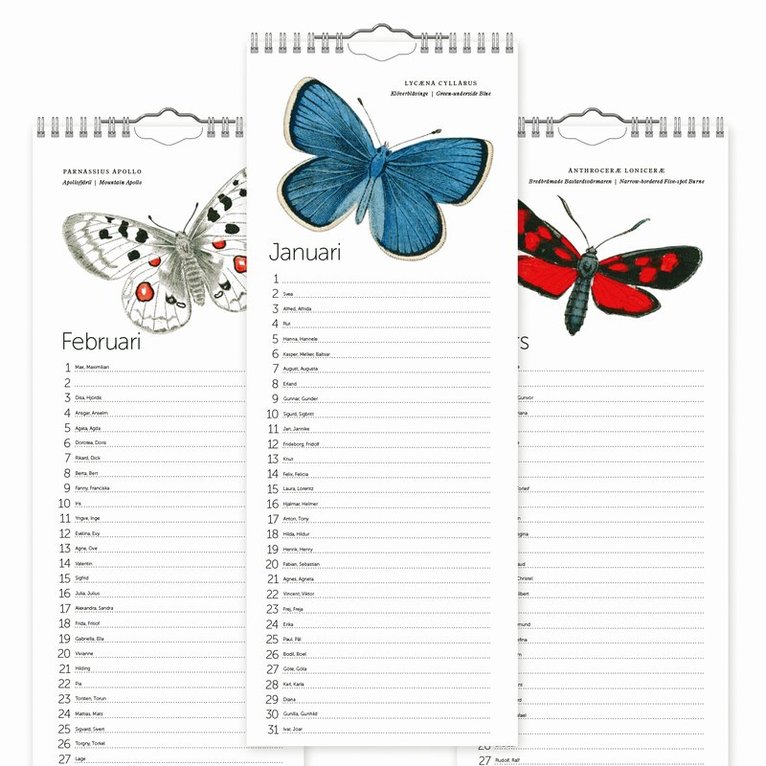 Födelsedagskalender Fjärilar, Övrigt