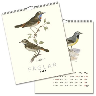 Väggkalender 2023 Fåglar