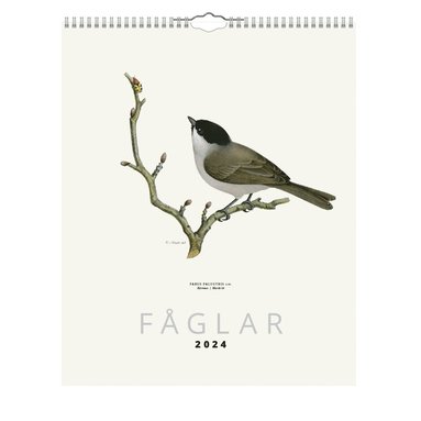 Väggkalender 2024 Fåglar 1