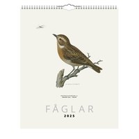 Väggkalender 2025 Fåglar