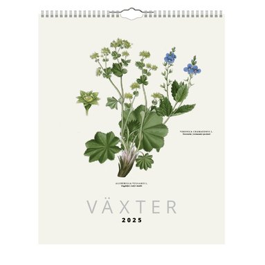 Väggkalender 2025 Växter