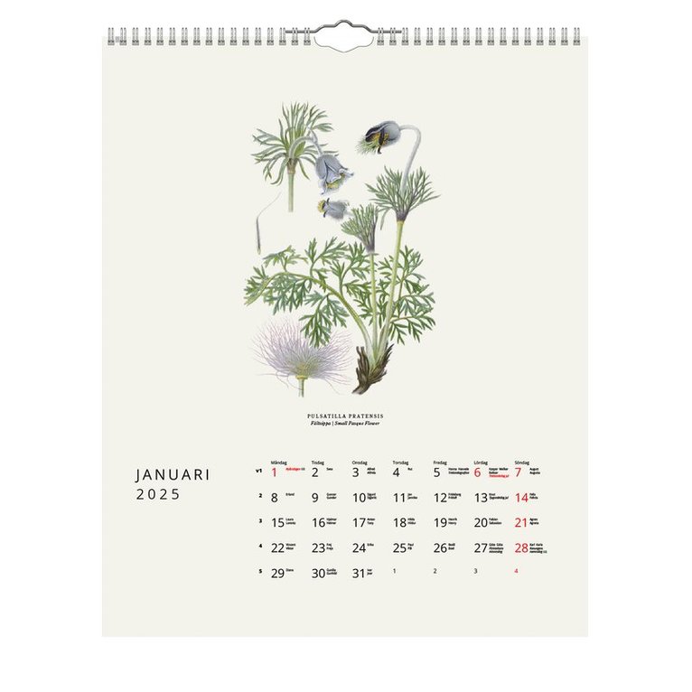 Väggkalender 2025 Växter, Övrigt