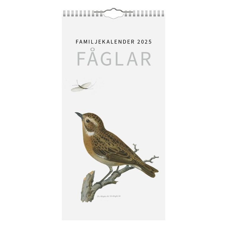 Familjekalender 2025 Fåglar
