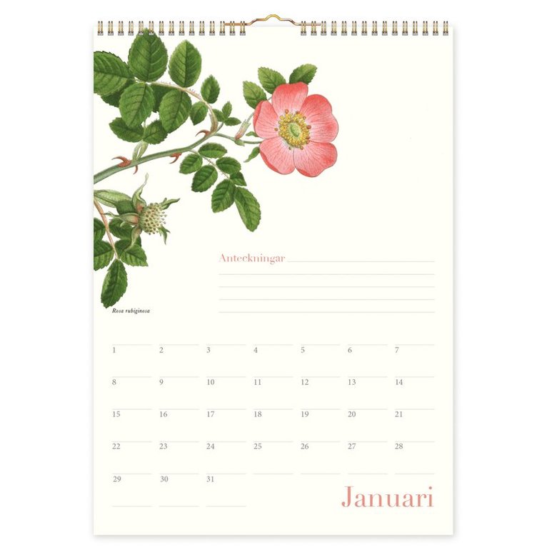 Väggkalender 2026 Wildflower Evighet, Övrigt