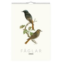 Väggkalender 2026 Fåglar
