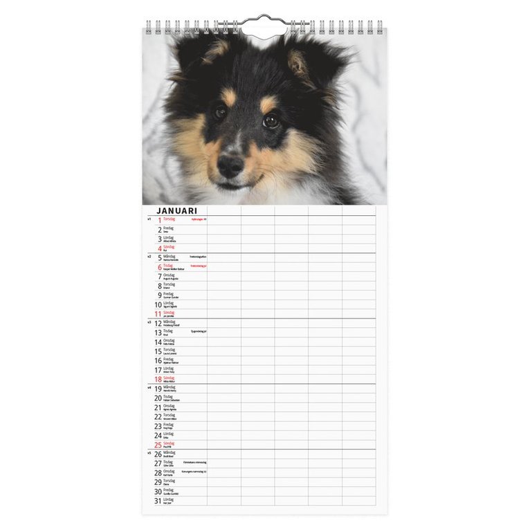 Familjekalender 2026 Hundar, Övrigt