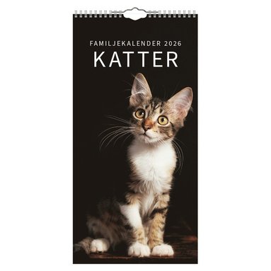 Familjekalender 2026 Katter 1