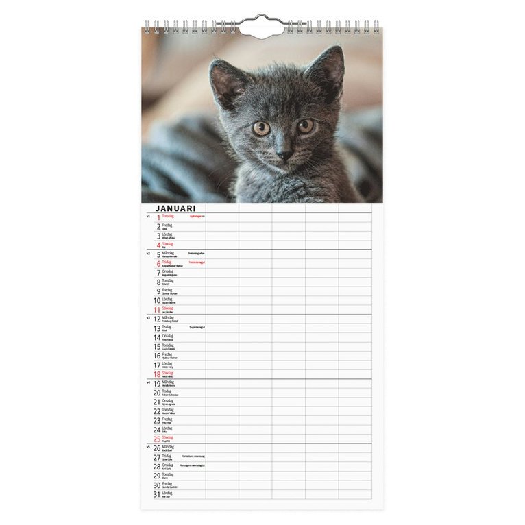 Familjekalender 2026 Katter, Övrigt