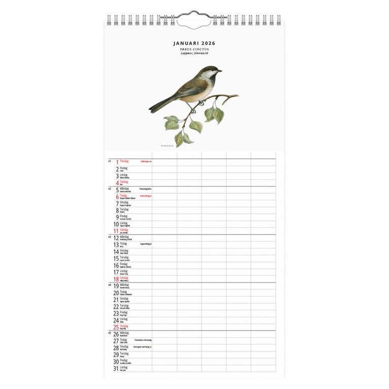 Familjekalender 2026 Fåglar, Övrigt