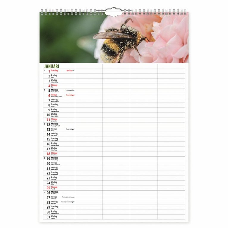 Familjekalender 2026 Humlor, Övrigt