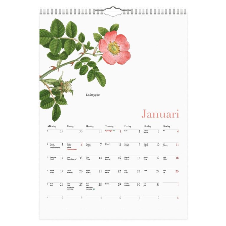 Väggkalender 2026 Blomster A4, Övrigt