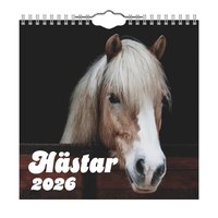 Väggkalender 2026 Hästar Mini
