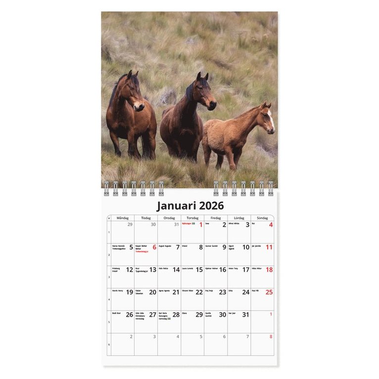 Väggkalender 2026 Hästar Mini, Övrigt