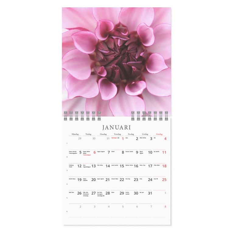 Väggkalender 2026 Blossom Mini, Övrigt