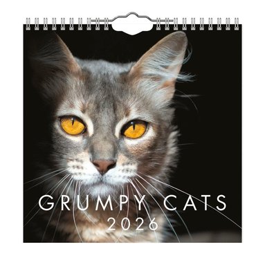 Väggkalender 2026 Grumpy Cats Mini