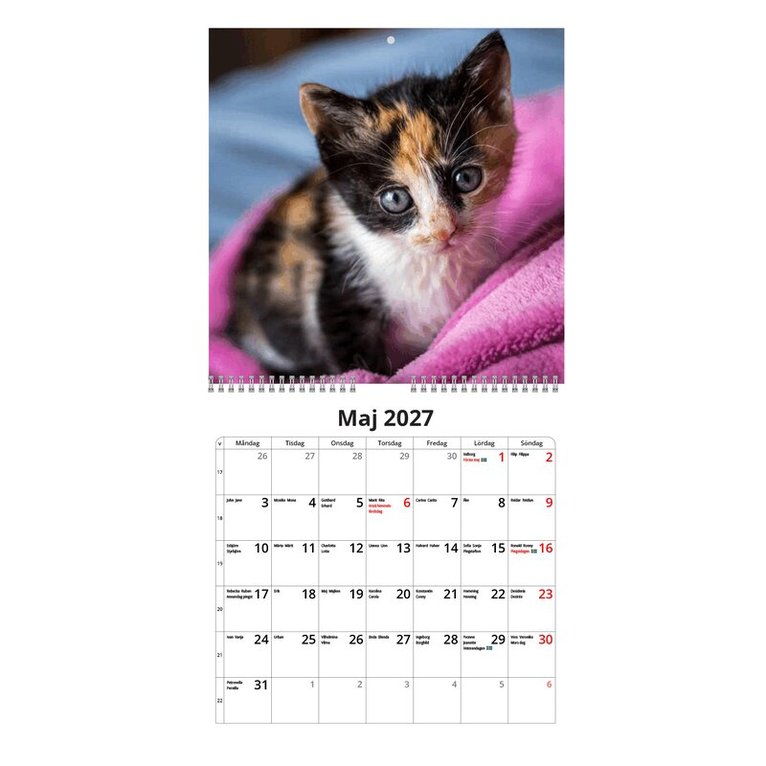 Väggkalender 2027 Katter mini, Övrigt