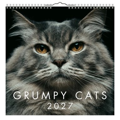 Väggkalender 2027 Grumpy Cats mini, Övrigt