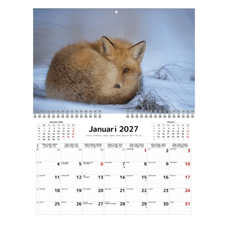 Väggkalender 2027 Levande Skog, Övrigt