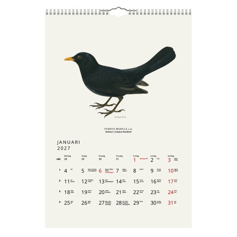 Väggkalender 2027 Fåglar, Övrigt