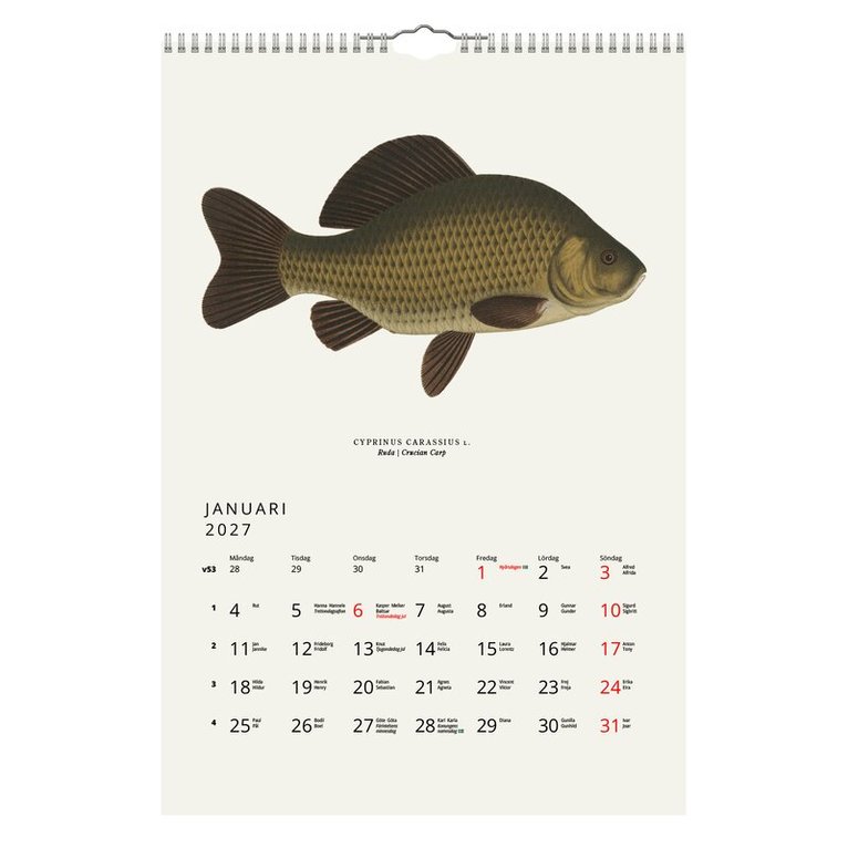 Väggkalender 2027 Fiskar, Övrigt