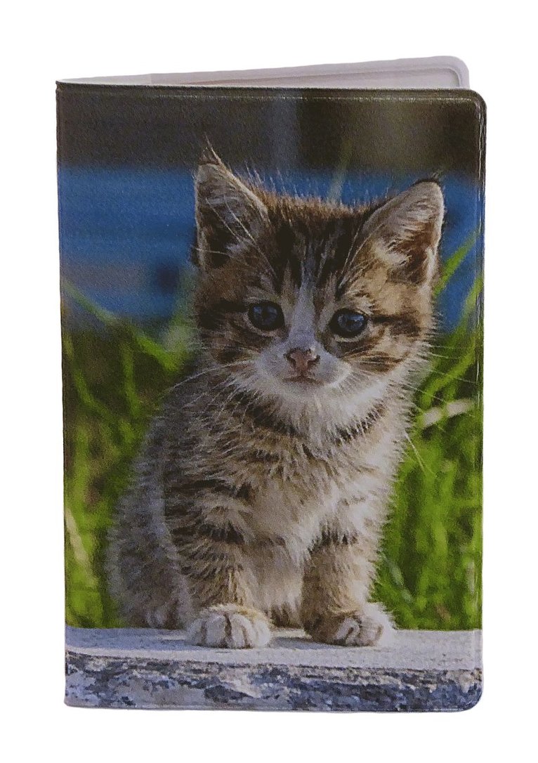 Kortfodral Plånka Kattungar, Övrigt