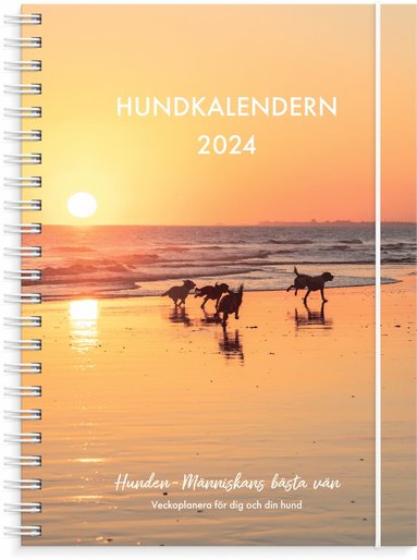 Kalender 2024 Hundkalendern 1