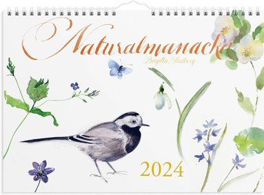 Väggkalender 2024 Naturalmanacka 1