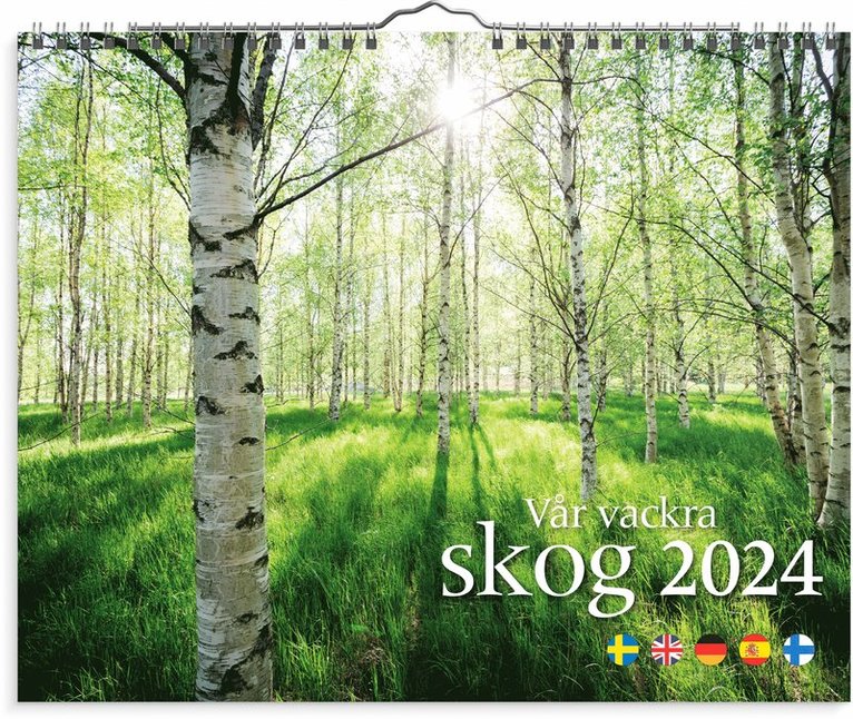 Väggkalender 2024 Vår vackra skog 1