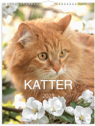 Väggkalender 2023 Stora Kattkalendern 1